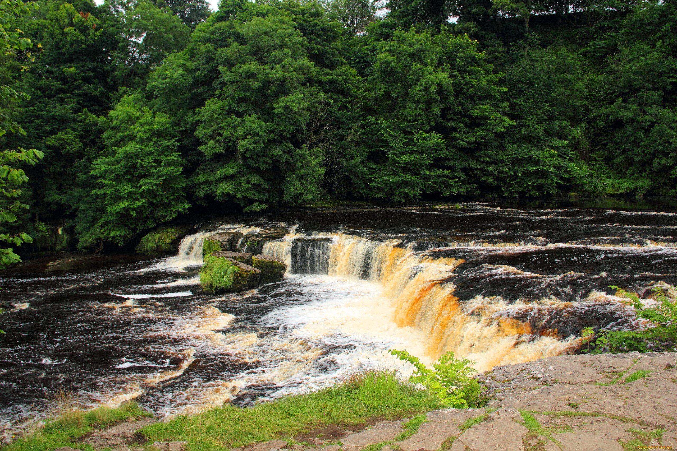 aysgarth falls,  yorkshire  england, , , , , 